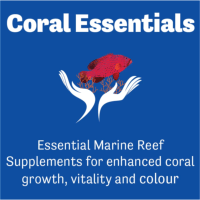 Coral Essentials