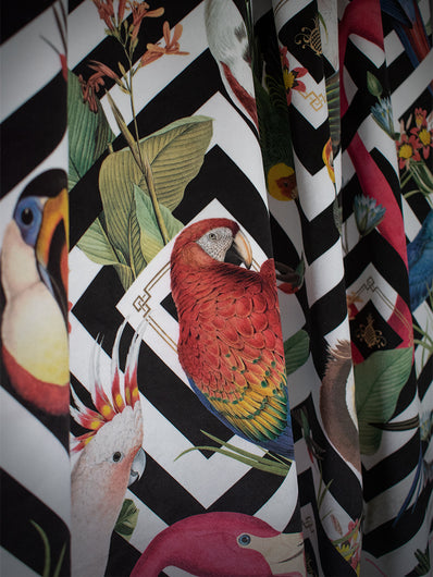 Geometric Aviary: Collections – Divine Savages