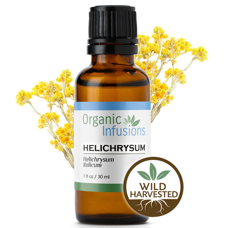 Image of Helichrysum / Immortelle