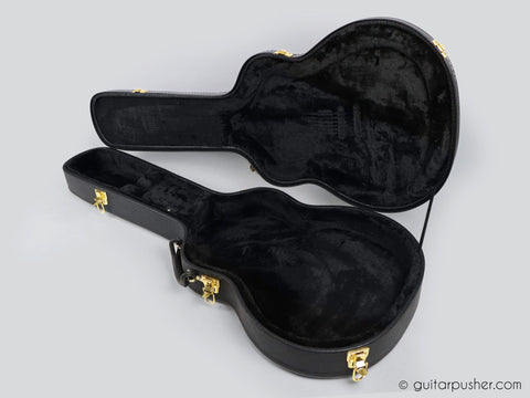 semi acoustic hard case