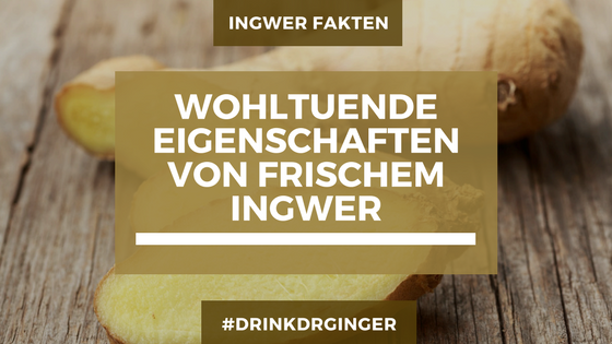 Dr. Ginger Ingwer Fakten