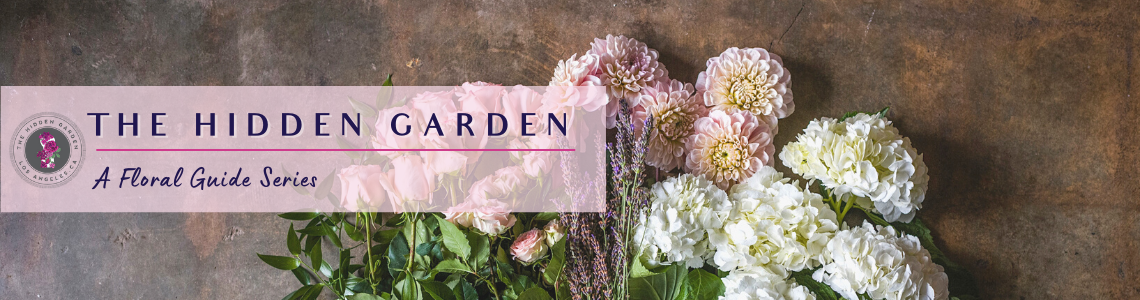 The Hidden Garden - A Floral Guide Series