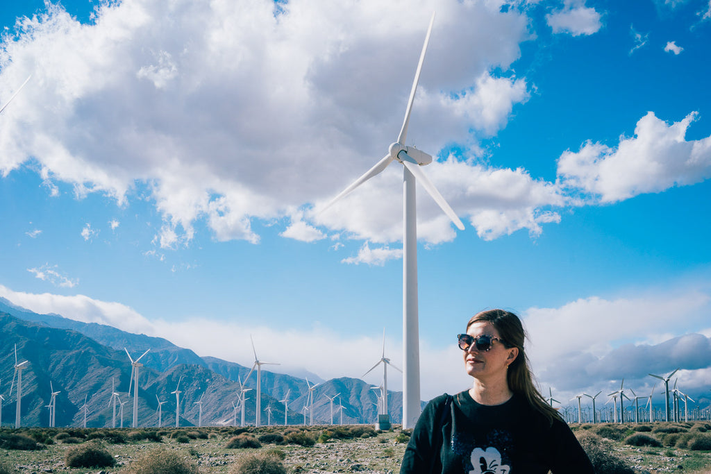 Janna Conner with wind turbines Palm Springs large clouds 