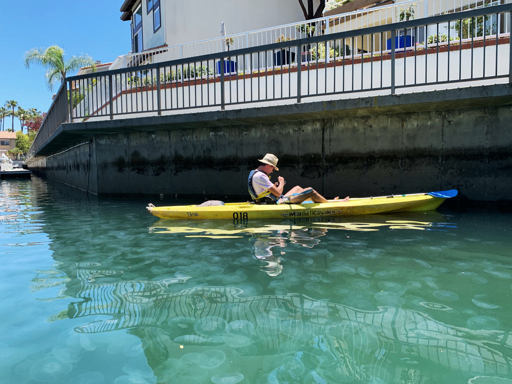 man in kayak with moon jellyfish naples island Long Beach California