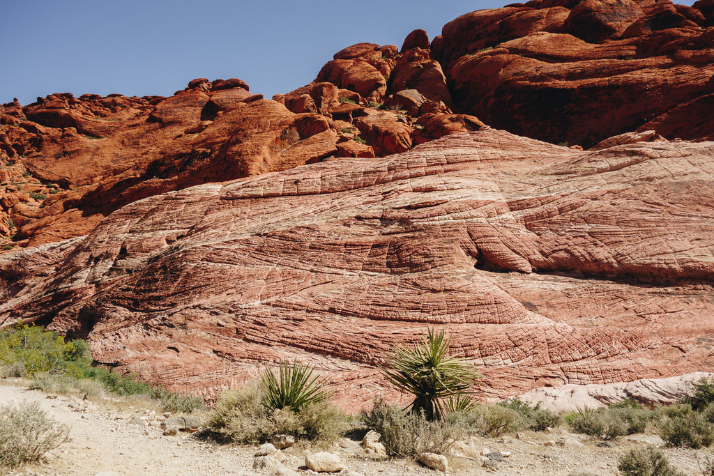 red rock nevada