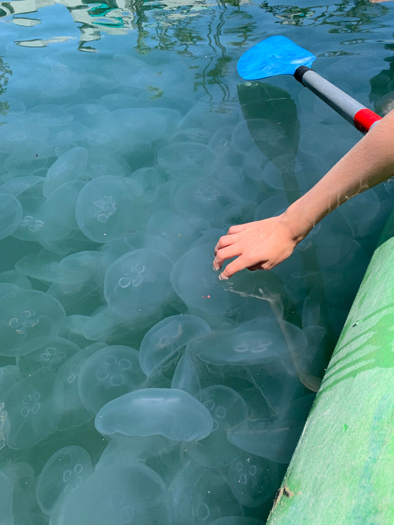 child's hand in water with jellyfish and kayak