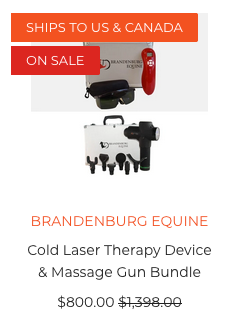 equine therapy equipment bundle