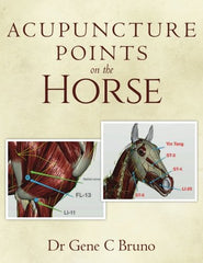 Acupressure Points on a Horse