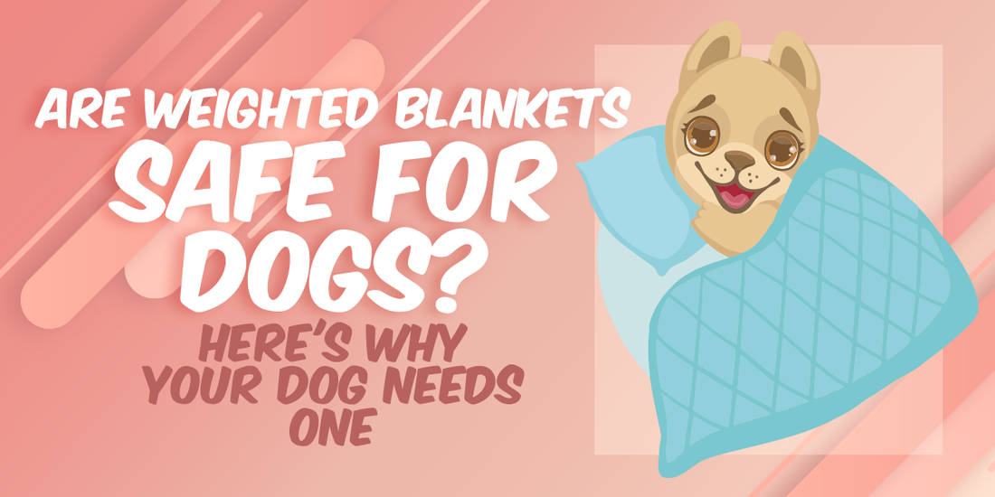 Are Weighted Blankets Safe For Dogs Here S Why Your Dog Needs One The Perfect Weighted Blanket By Rocabi