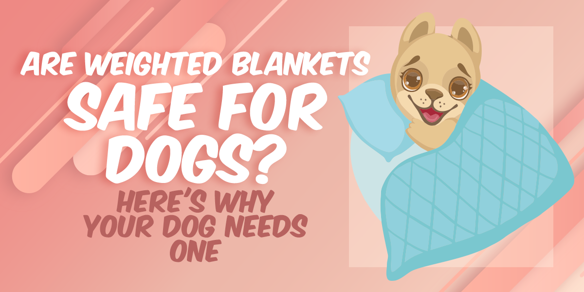 Are Weighted Blankets Safe For Dogs? Here's Why Your Dog Needs One