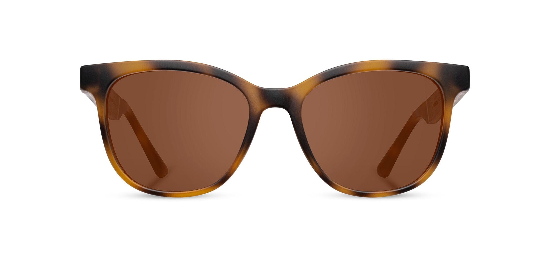 CAMP Cove Sunglasses