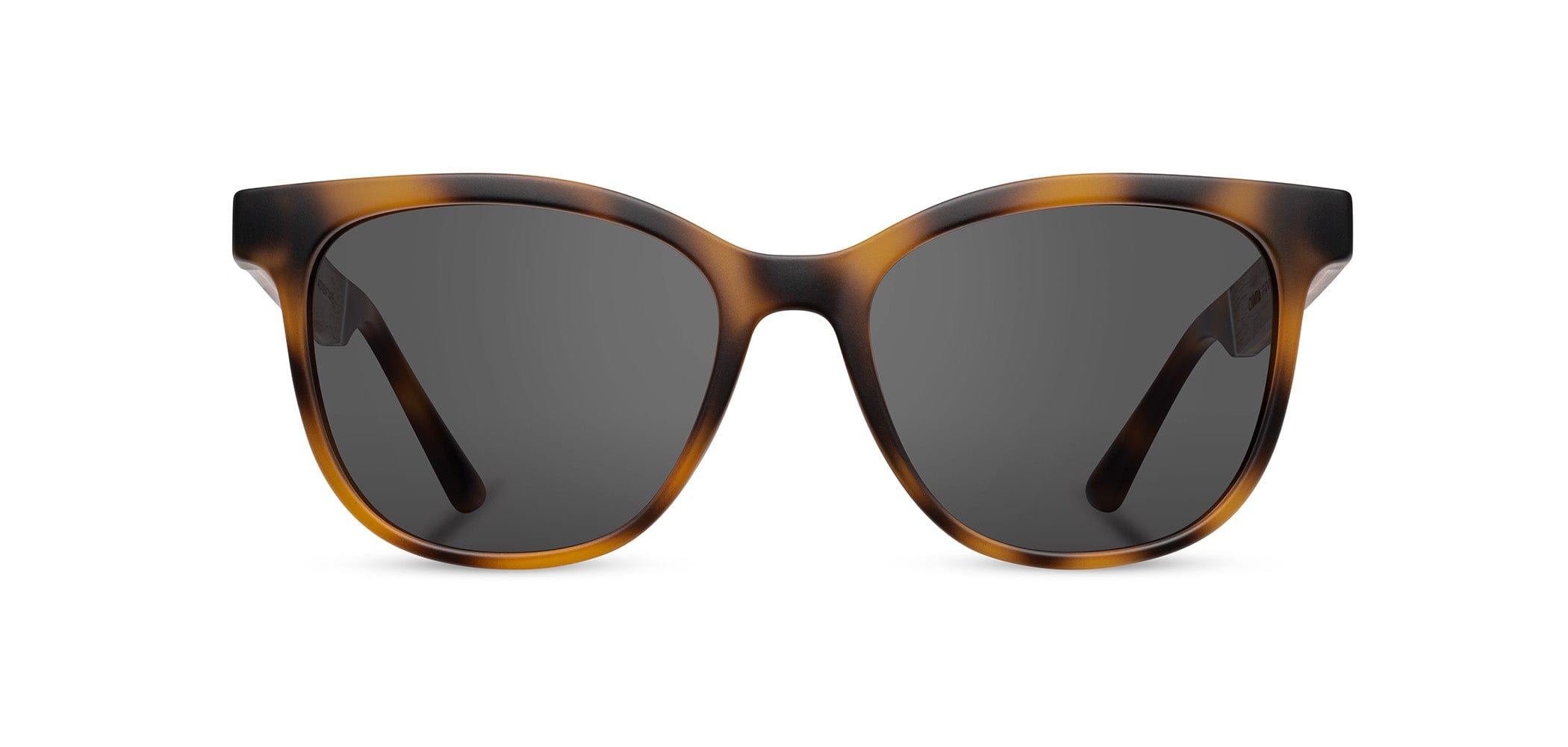 CAMP Cove Sunglasses