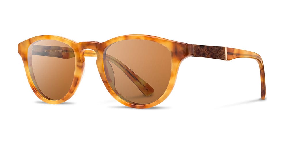 Francis Acetate Sunglasses