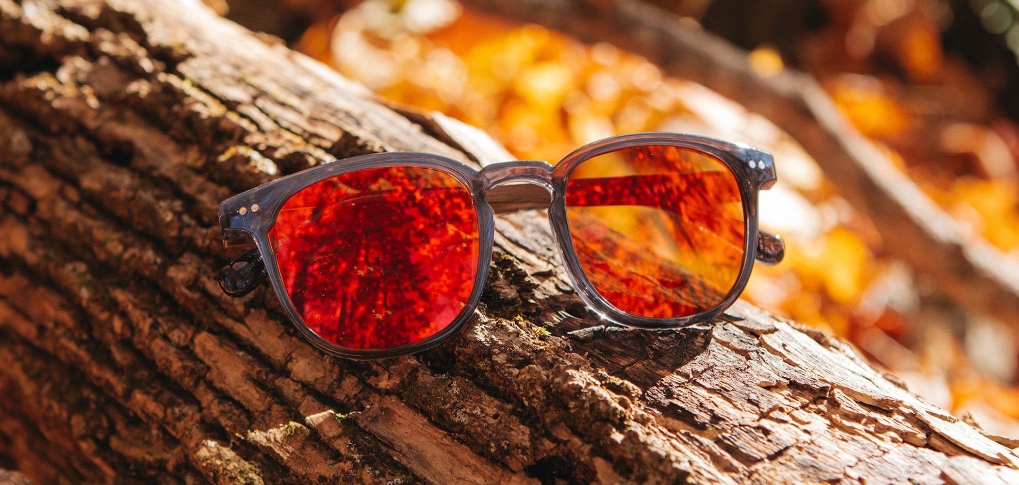 CAMP Topo Sunglasses