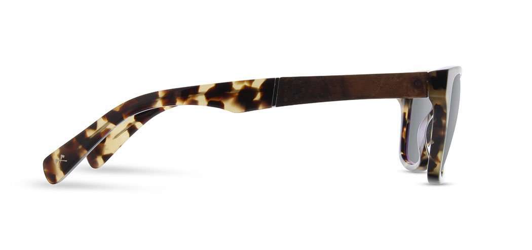 Canby Acetate Sunglasses