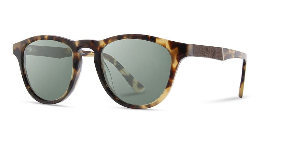 Francis Acetate Sunglasses