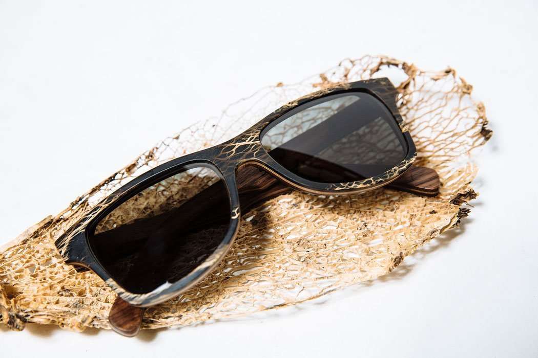 Canby Cactus Sunglasses