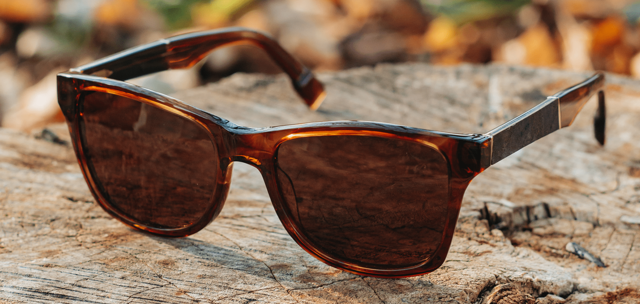 Canby XL Acetate Sunglasses