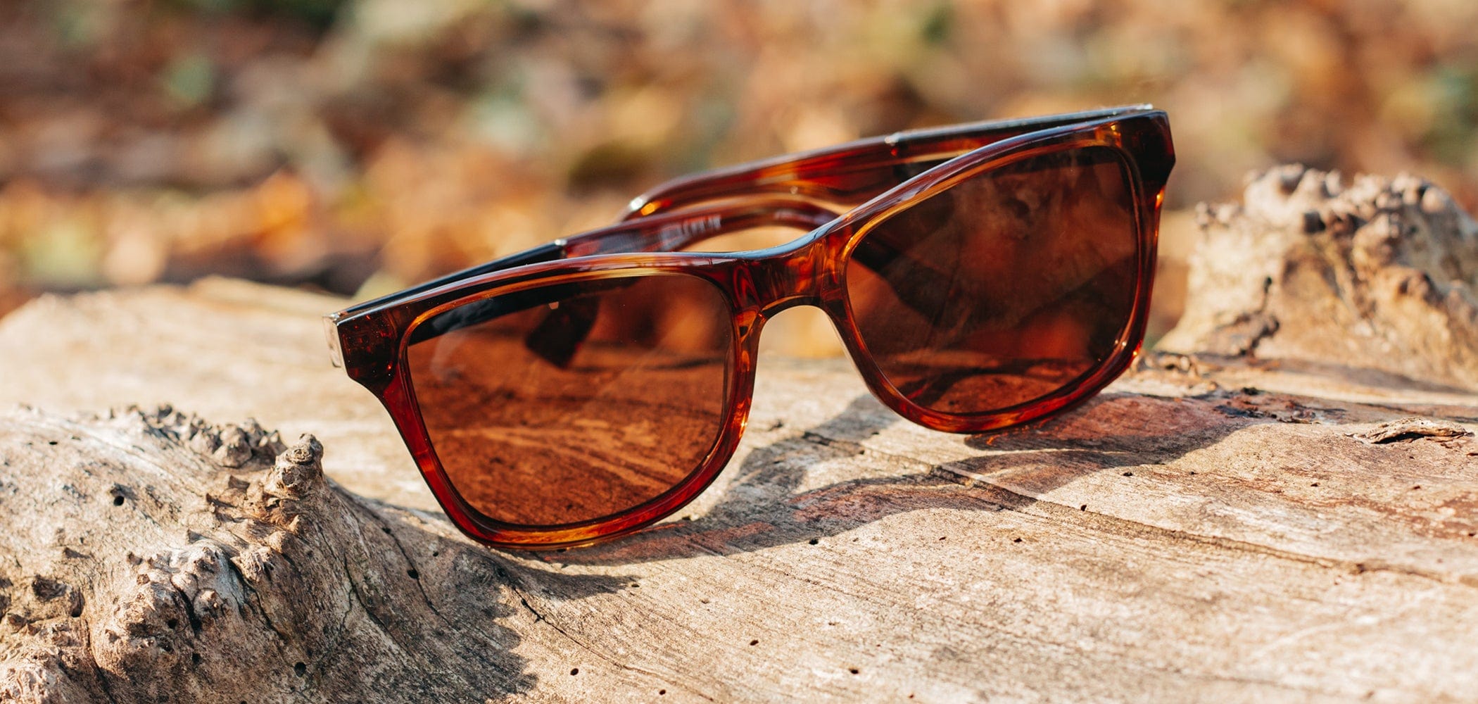 Canby XL Acetate Sunglasses