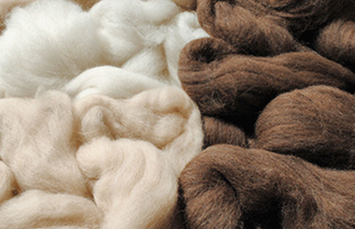 Alpaca fleece