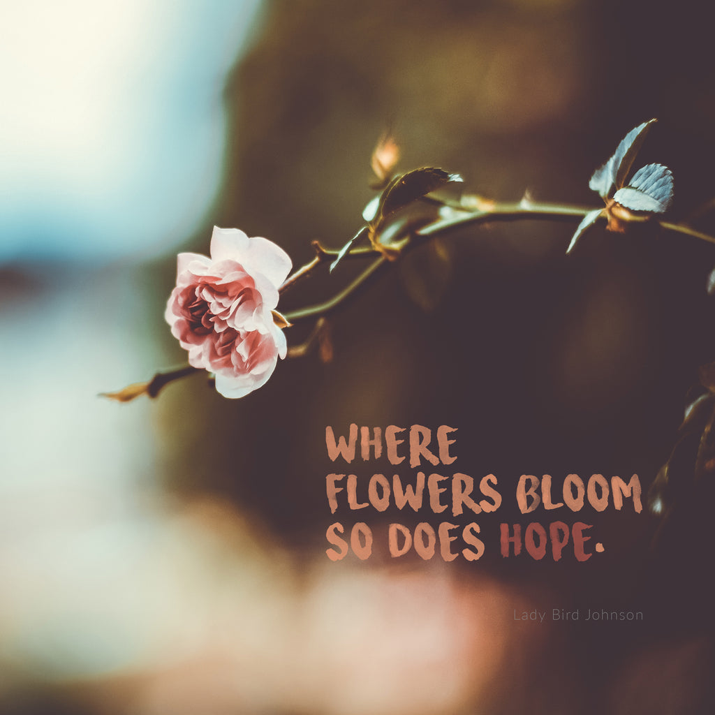 hope and flower quotes