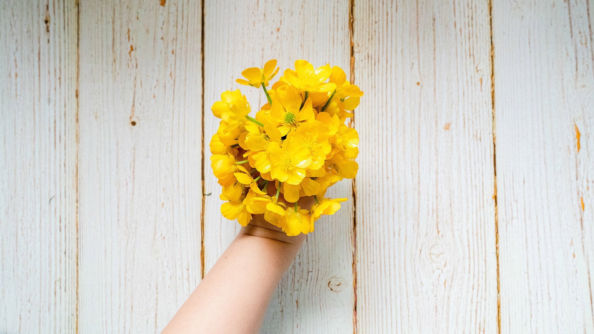 How to Press Flowers