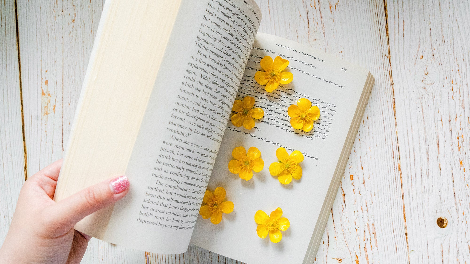 How to Press Flowers in a Book DIY Tutorial by Floral Neverland