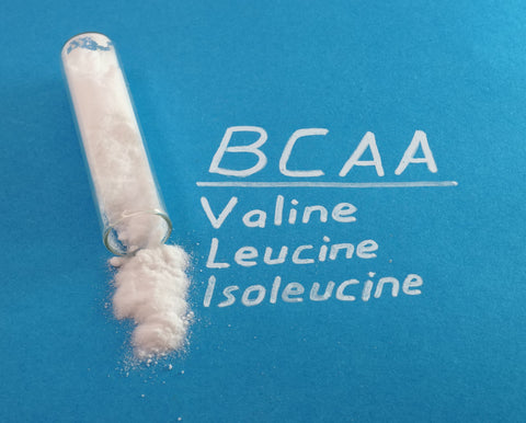 BCAA valine leucine isoleucine amino acids