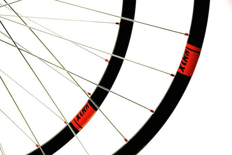 Image of custom alloy MTB XC and Trail wheelset using DT Swiss 370 front hub, XLR8 MD MTB rear hub, and Alex Evo 2.3 rims. Pic shows rim decals.