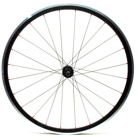 DT Swiss 240s on Kinlin XC279 Profile XLR8 Performance Bicycle Wheels