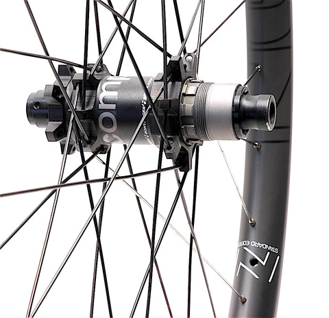 Nextie 29er Asymmetric on Bontrager Rhythm Comp Rear by XLR8 Performance Bicycle Wheels