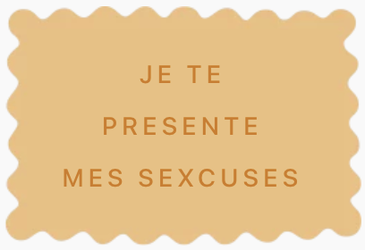 excuse originale biscuits personnalisés je te présente mes sexcuses