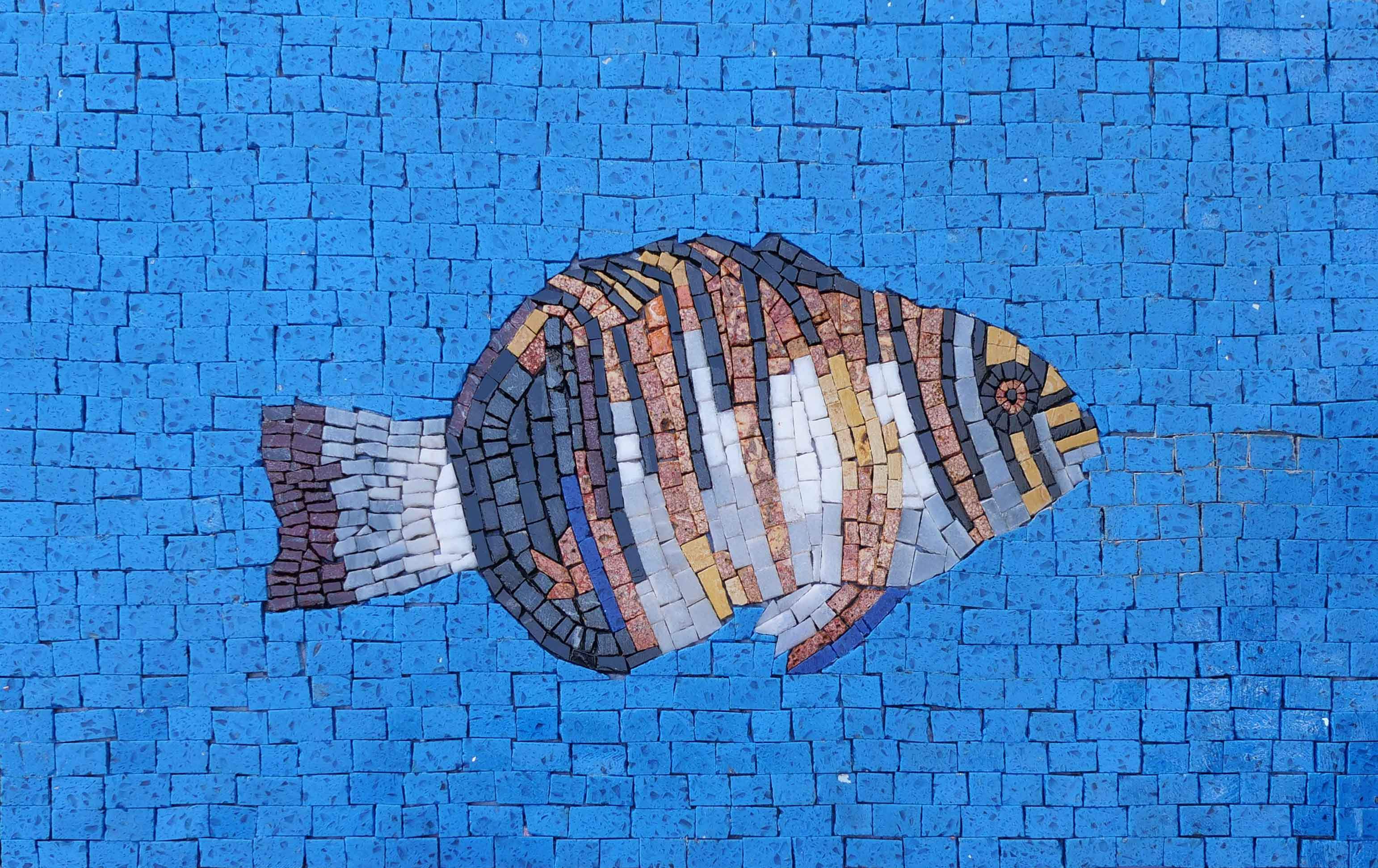 Harlequin Tuskfish - Mosaic Fish Art