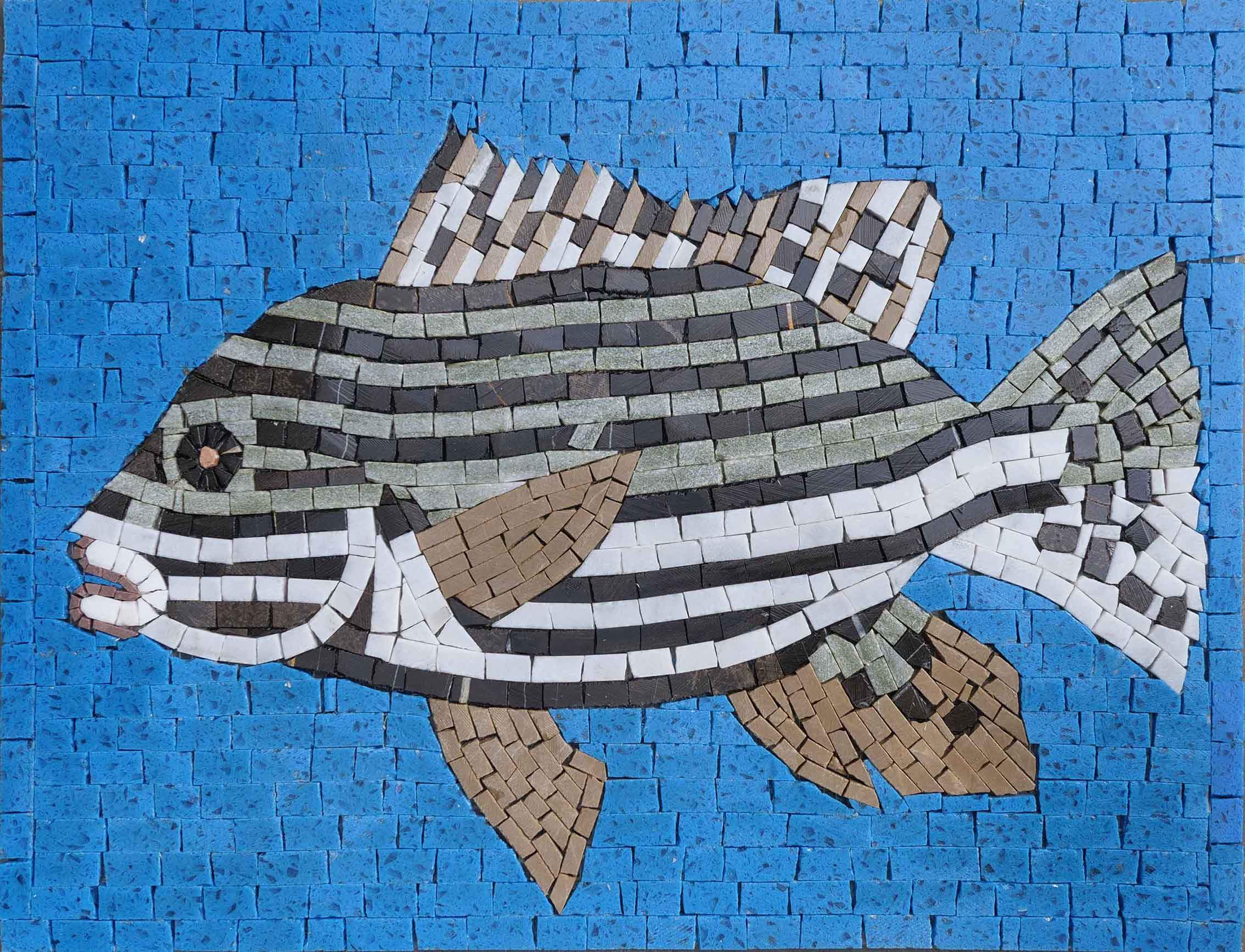 Black And White Fish - Mural Mosaic Art