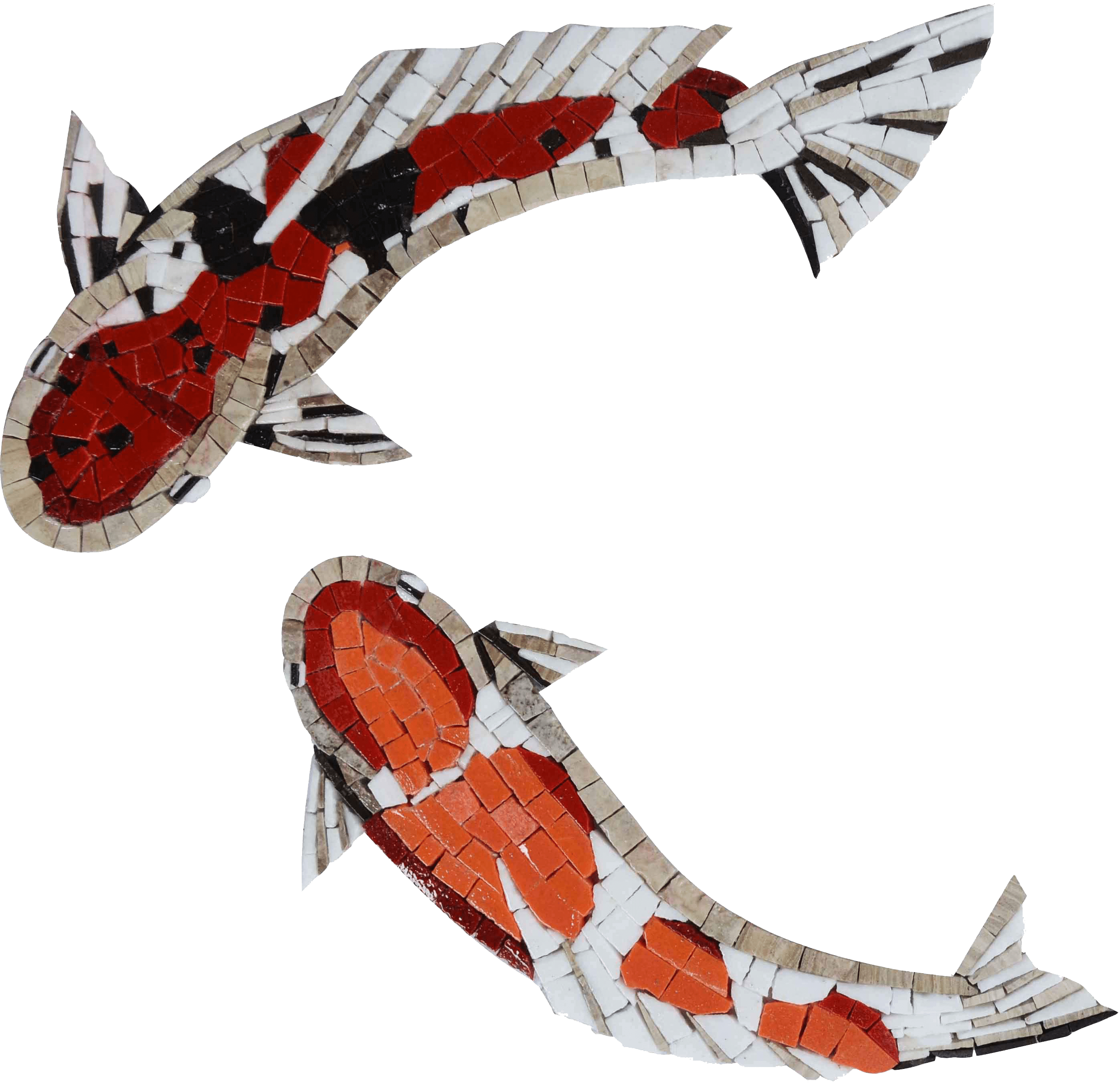 dragon koi fish drawing