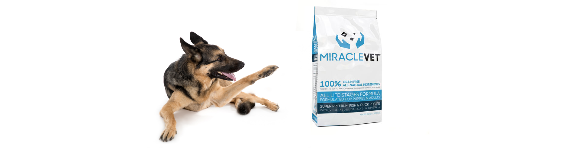 are grain free treats bad for dogs