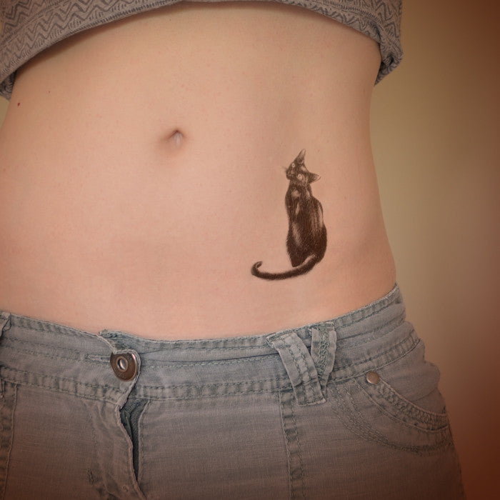 Tattoo of my cat on stomachribs Location Scotland Shop Inksomnia  r tattoos