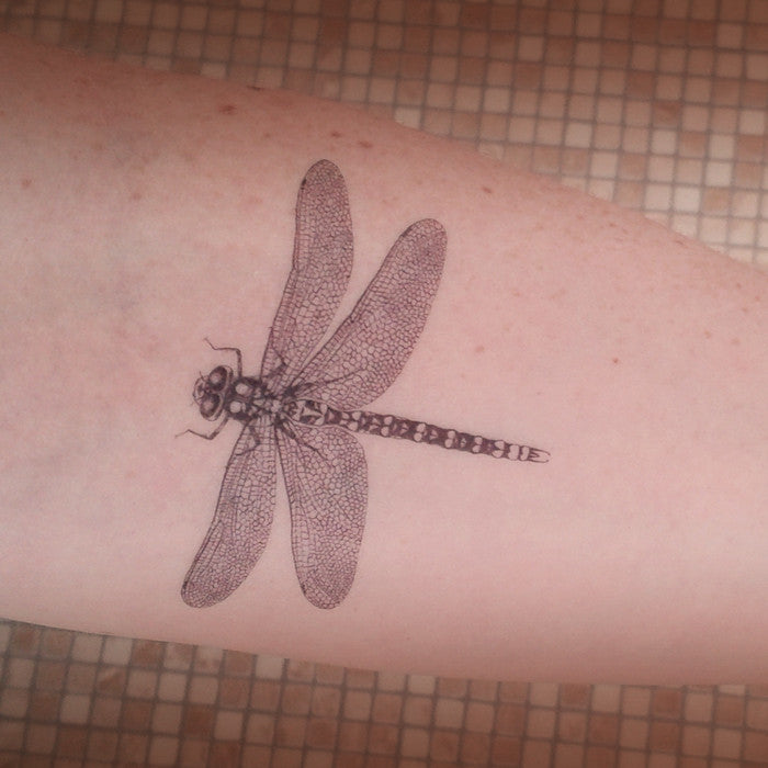 Dragonfly Temporary Tattoo  Set of 3  Tatteco