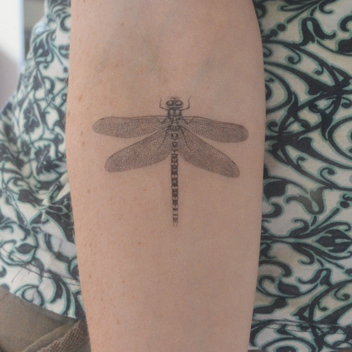 12 Dragonfly Tattoo Design Ideas with Amazing Art