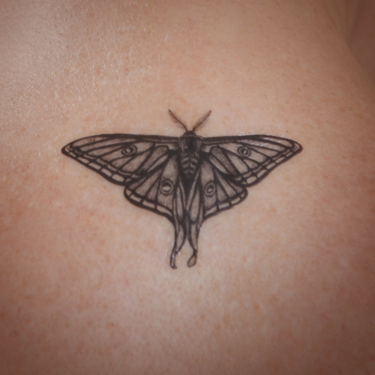 Luna Moth Temporary Tattoo Ali Chappell Bates Art