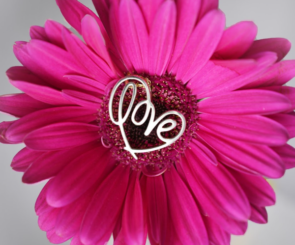 Silver Heartlines Love Pendant in the center of a bright pink Gerber daisy