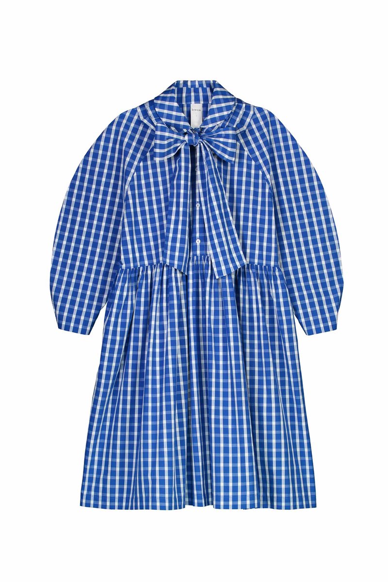 Calder Dress in Blue & White Check