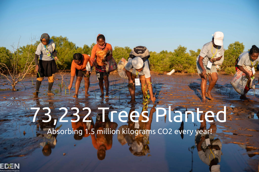 Photo of people planting trees in Madagascar with BAMWOO and Eden Reforestation Projects