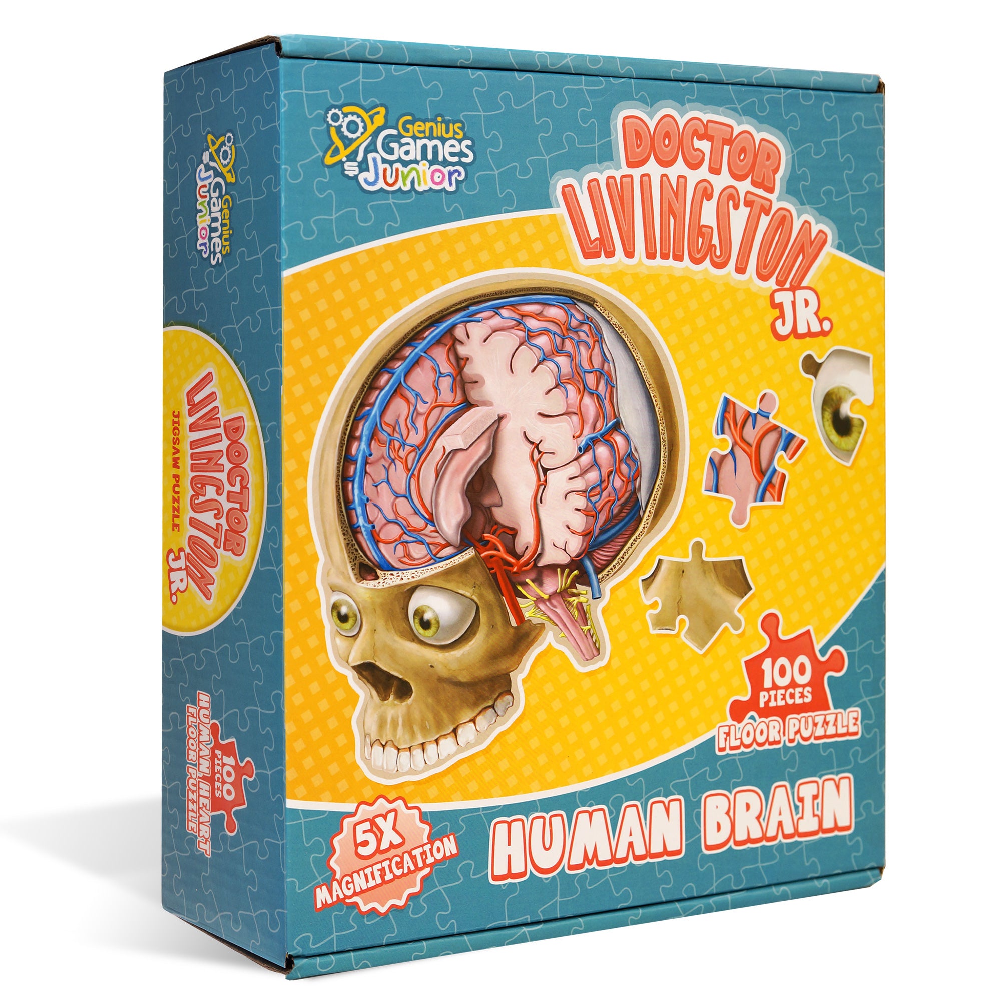 Human Feet Anatomy Jigsaw Puzzle | Dr. Livingston's Unique Shaped Science  Puzzles