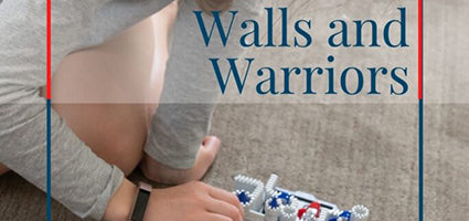 Walls & Warriors Review by Top Toy Finds