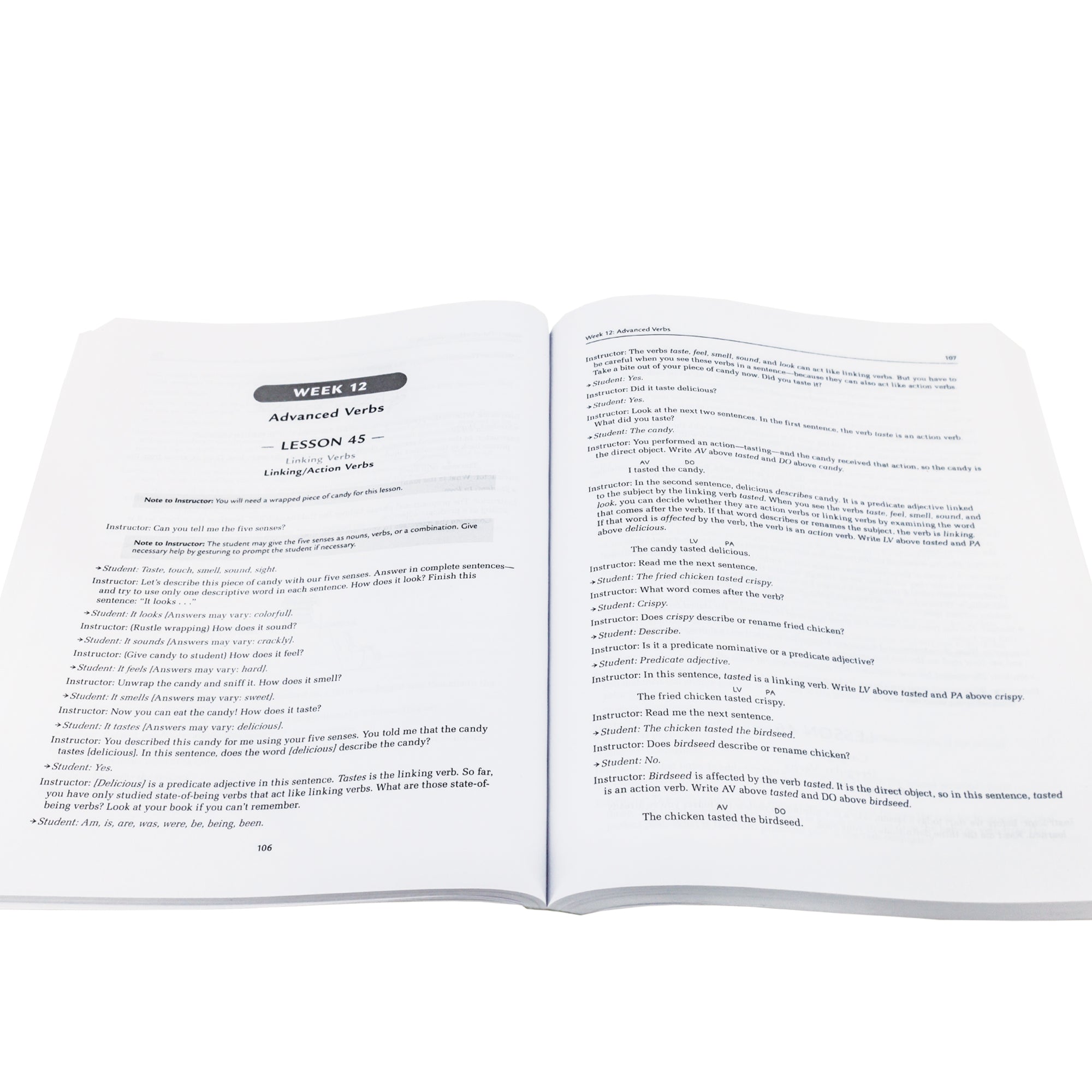 Grammar for the Well-Trained Mind book open to show Lesson 45. The left page shows the lesson title along with Linking Verbs and Linking / Action Verbs. The exercise below is a script of a conversation between the instructor and student that continues onto the right page.