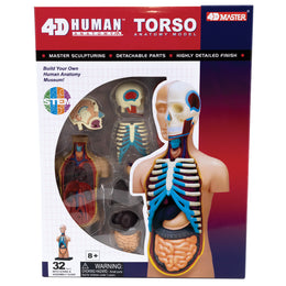 4D Torso Puzzle