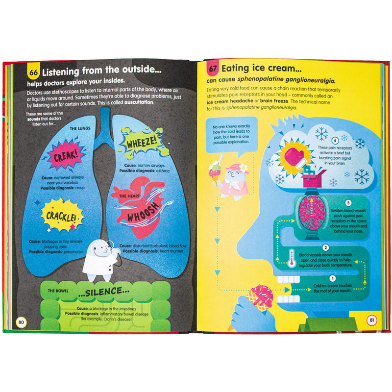 Parts Inside Your Body - Human Anatomy