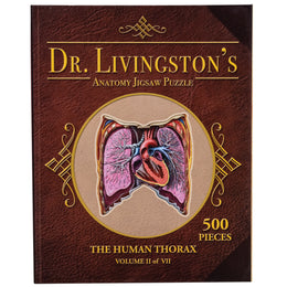 Dr. Livingston's Anatomy Jigsaw Puzzle: The Human Thorax