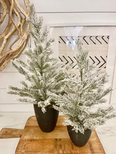 Load image into Gallery viewer, Chic Potted Christmas Tree